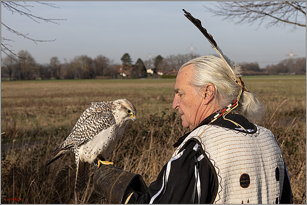 Cheyenne-Halbblut Hunting Wolf in der Falknerei Pierre Schmidt; Gymnich, 09.02.2023